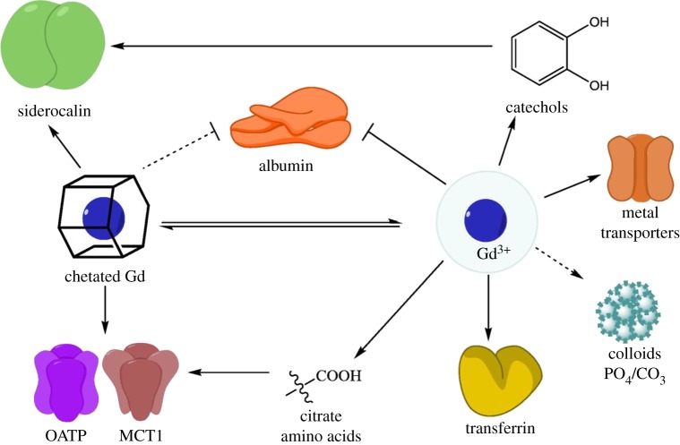 Figure 6.