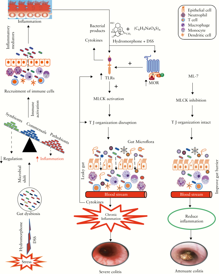 Figure 10.