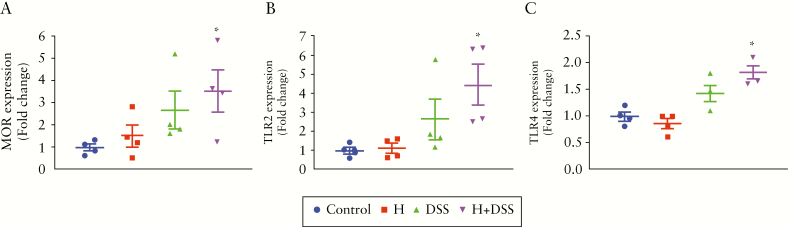 Figure 7.