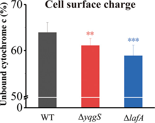 FIG 6