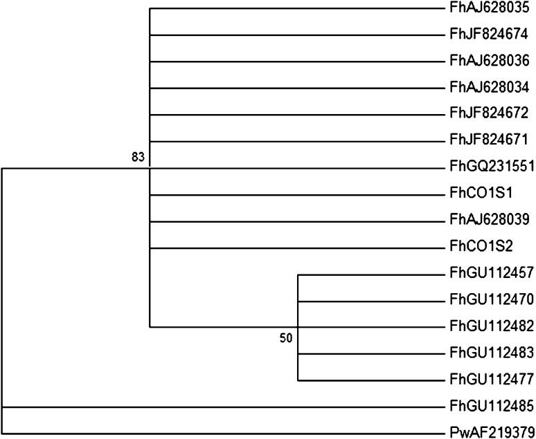 Fig. 3