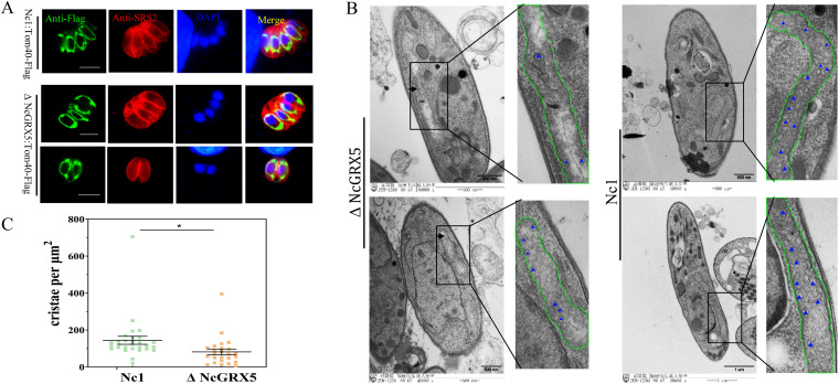 FIG 4