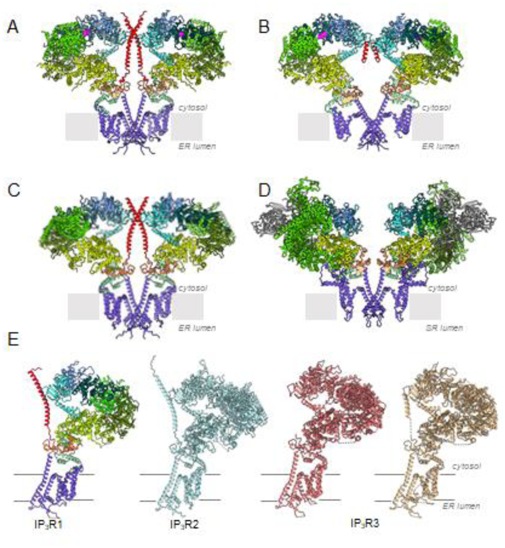 Fig. 3.