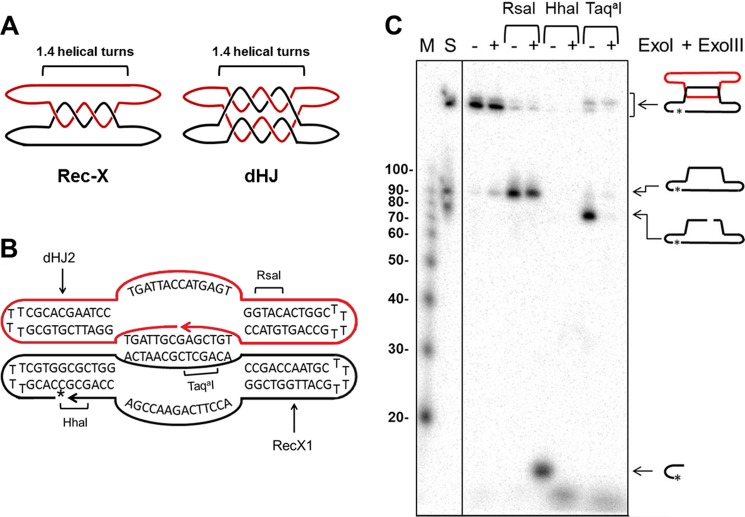 FIGURE 7.