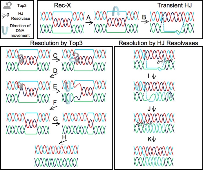 FIGURE 9.