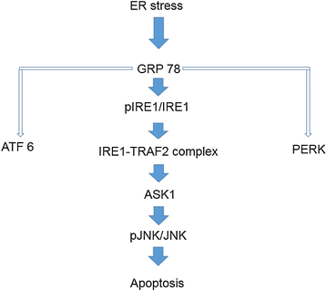 Fig. 8