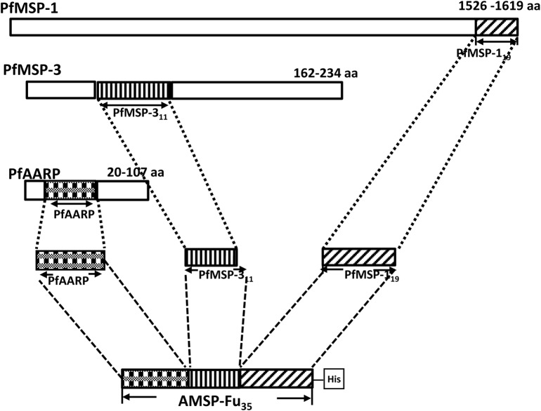 Fig 1