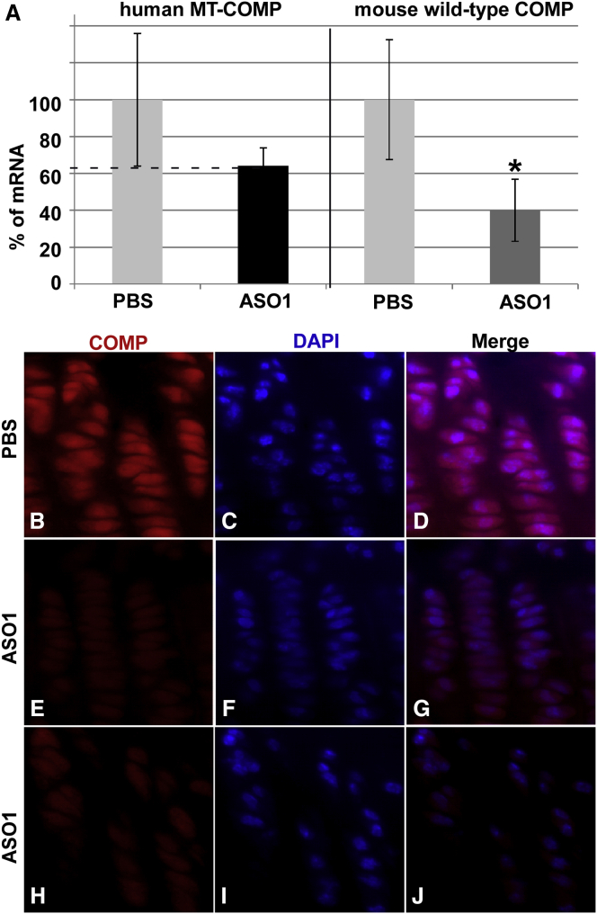 Figure 5