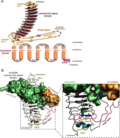 Figure 1.