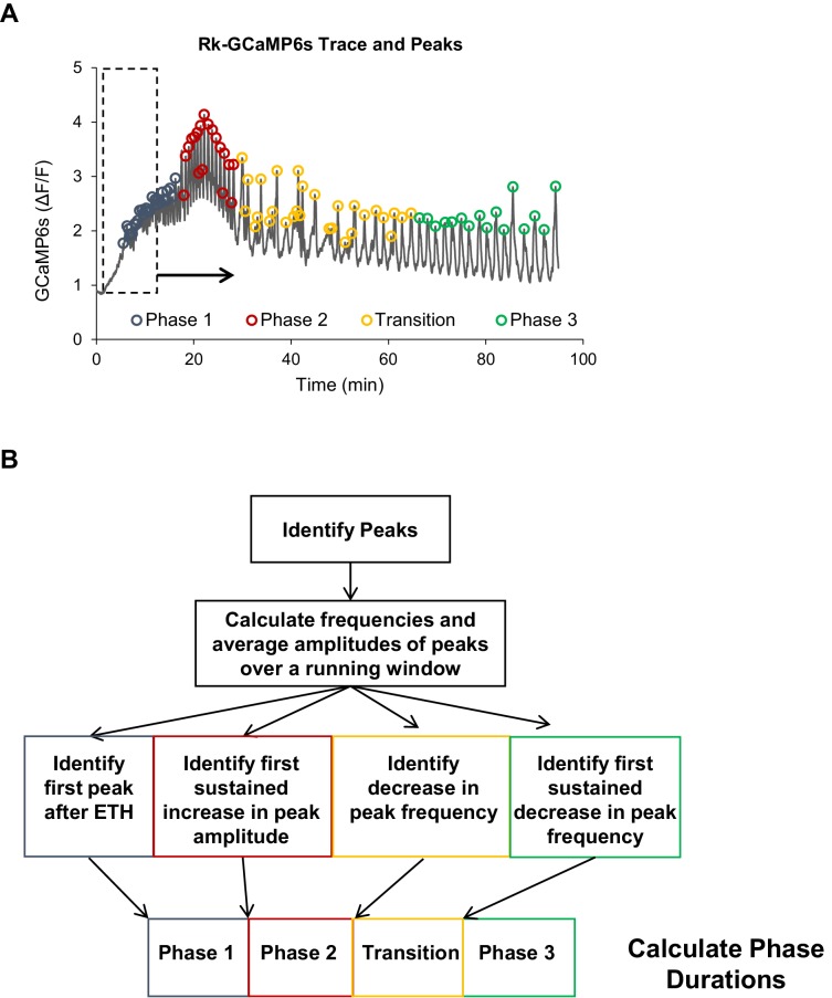 Figure 4—figure supplement 1.