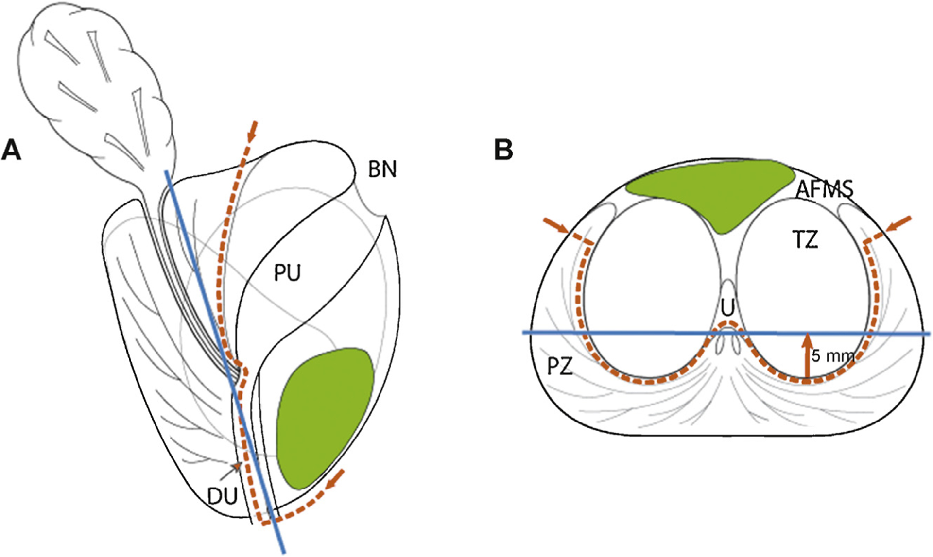 Fig. 1 –