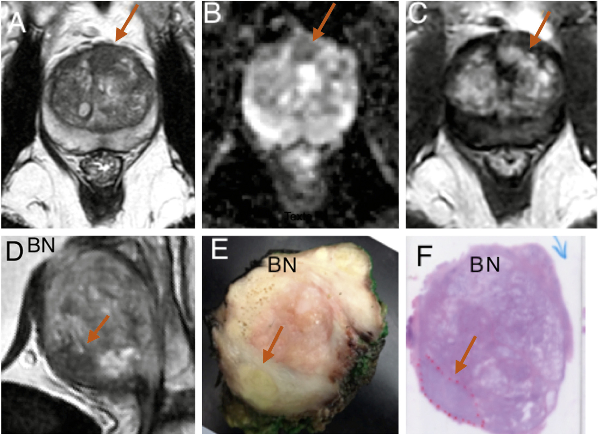 Fig. 2 –