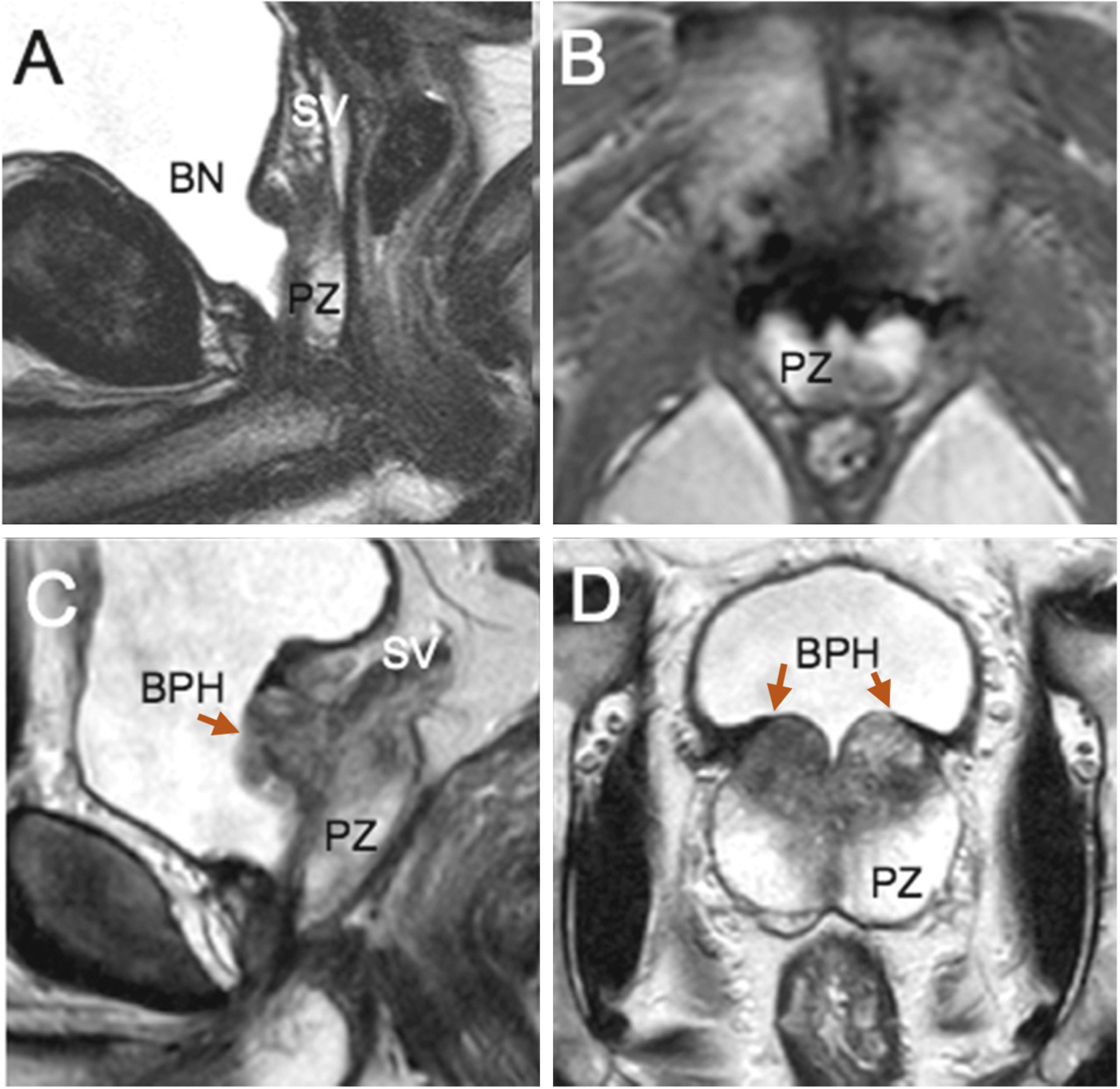 Fig. 4 –