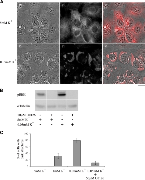 FIGURE 10.