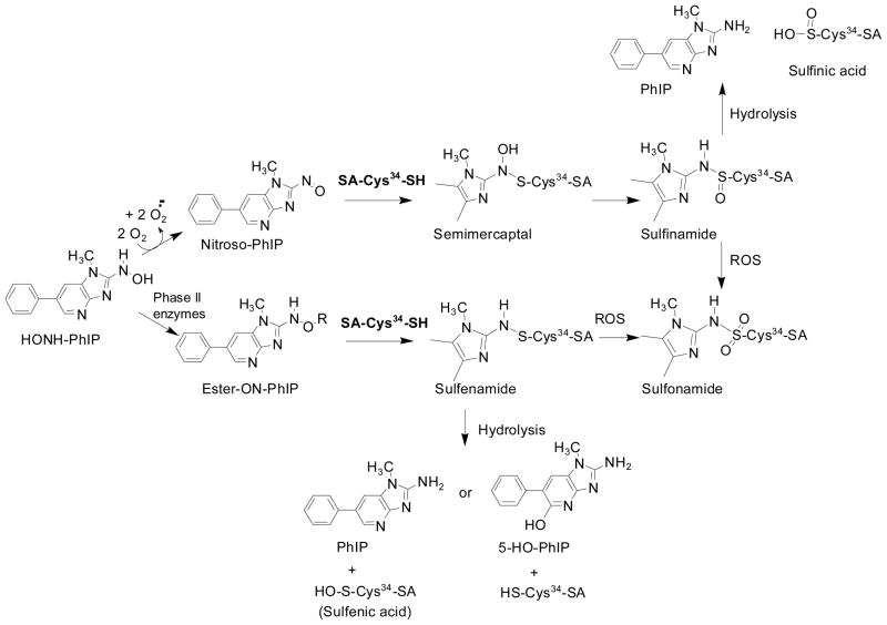 Scheme 1