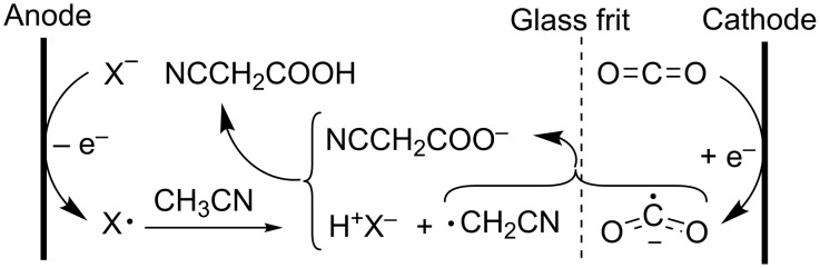 Scheme 20