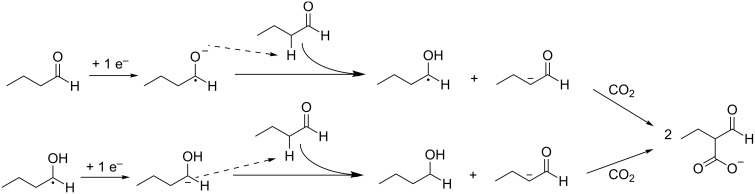 Scheme 12