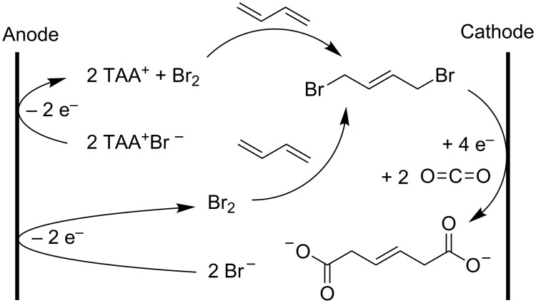 Scheme 19