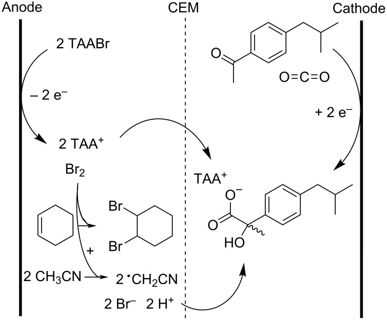 Scheme 15