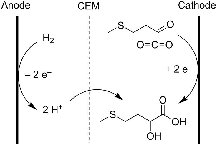 Scheme 16