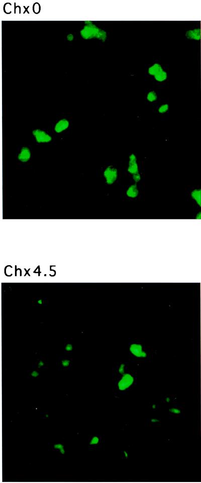 FIG. 10