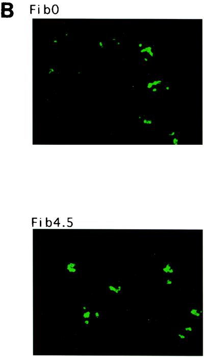 FIG. 9