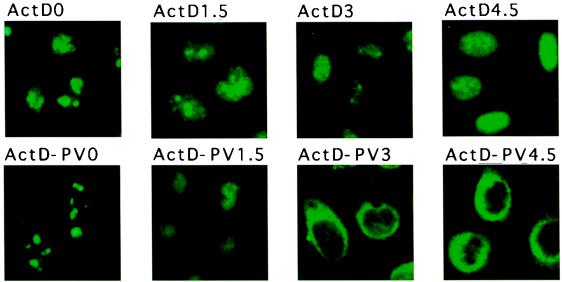 FIG. 11