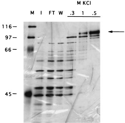 FIG. 5