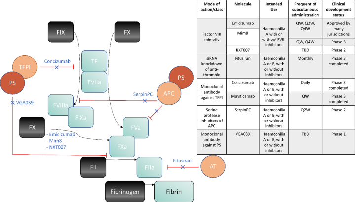 graphic file with name fx14.jpg