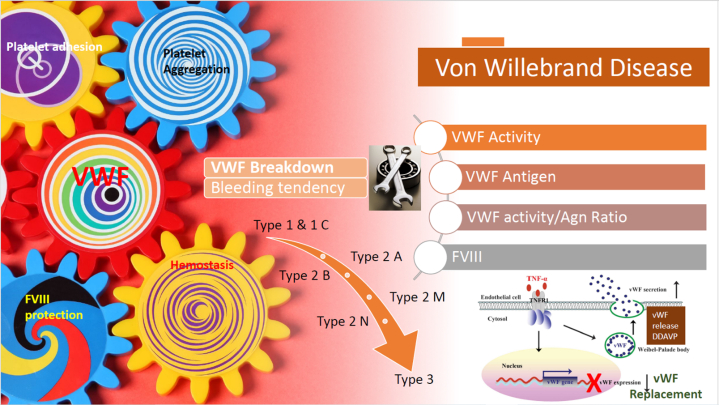 graphic file with name fx2.jpg