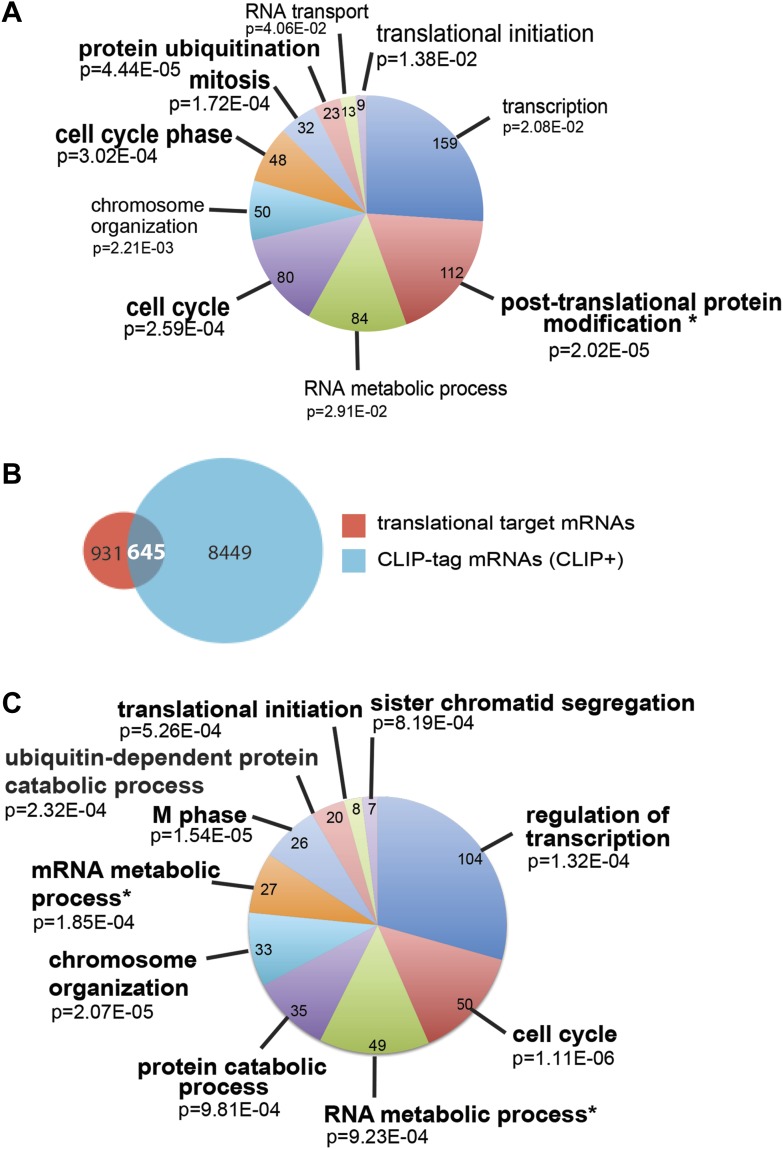 Figure 2—figure supplement 1.