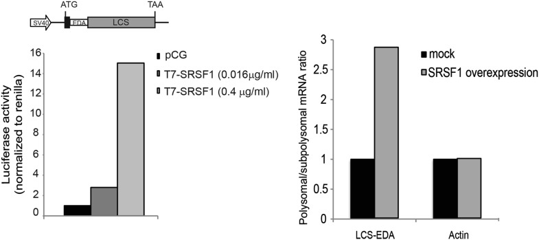 Figure 1—figure supplement 2.