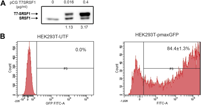 Figure 1—figure supplement 1.