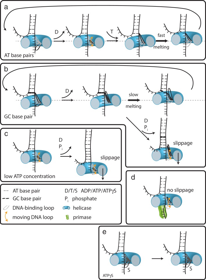 Figure 5.