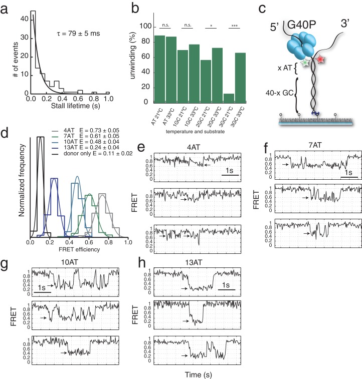 Figure 1—figure supplement 2.