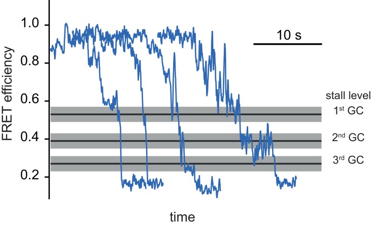 Figure 1—figure supplement 3.