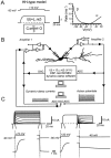 Fig. 2.