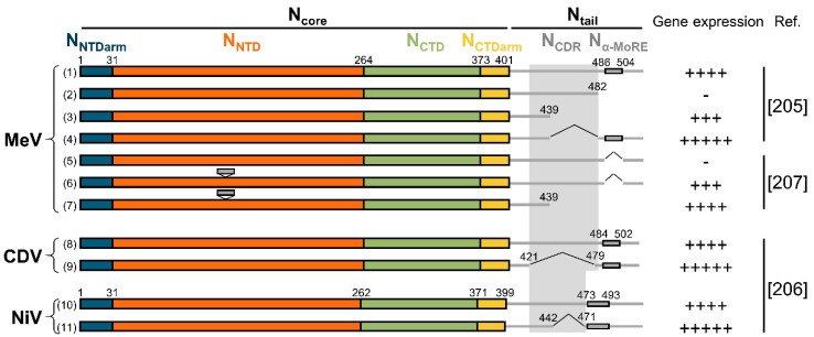 Figure 10