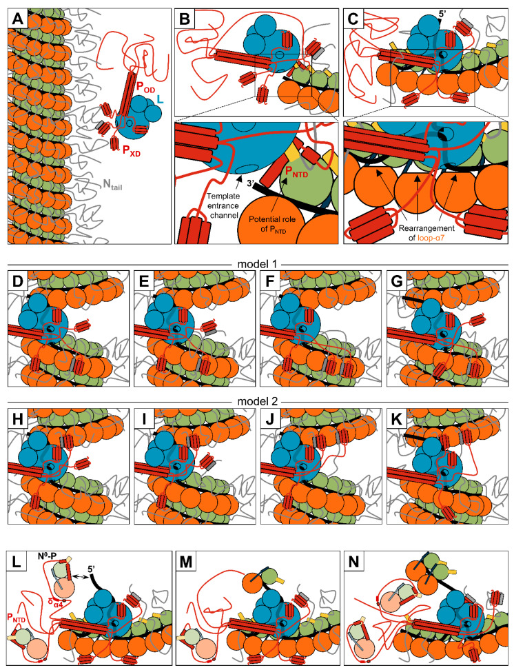 Figure 11