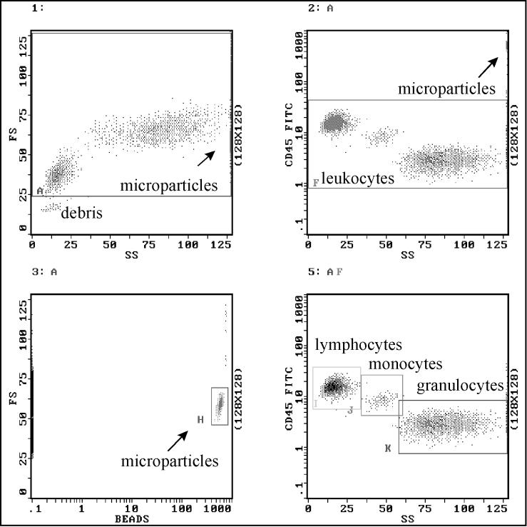 FIG. 1