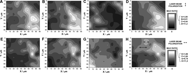 Fig. 3