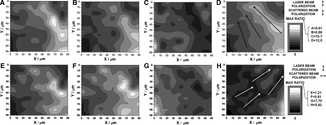 Fig. 4