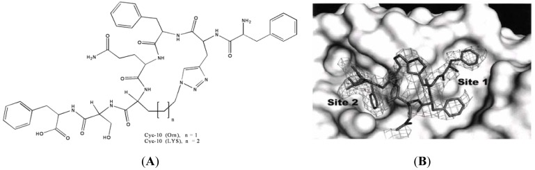 Figure 10