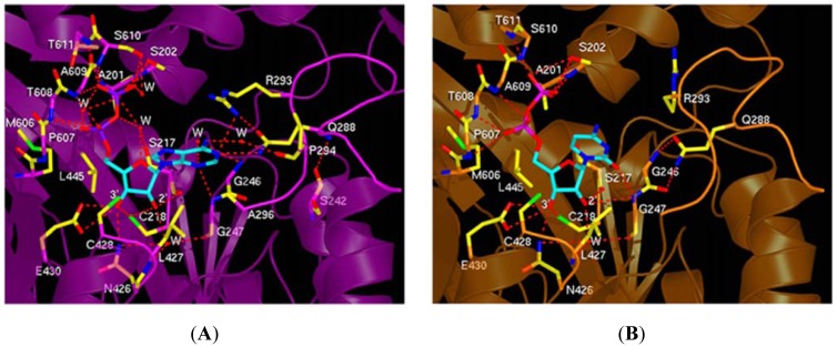 Figure 4