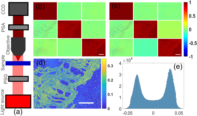 Fig. 4.