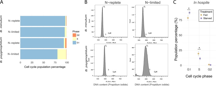 FIG 6