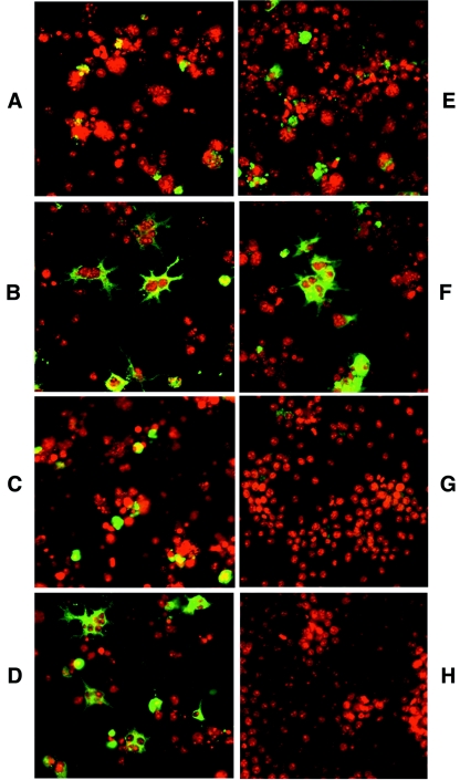 FIG. 6.