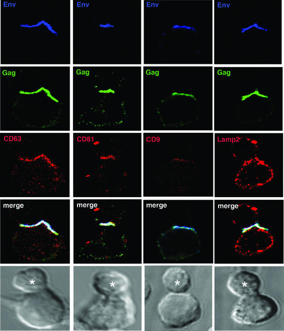 FIG. 6.