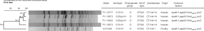 FIG. 3.