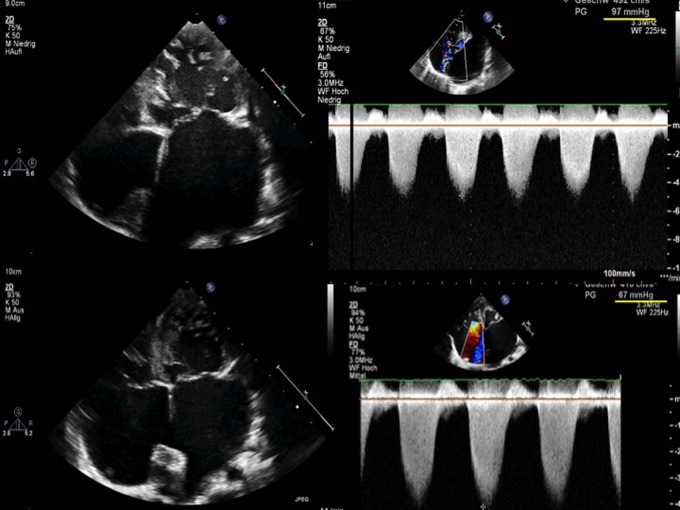 Figure 3